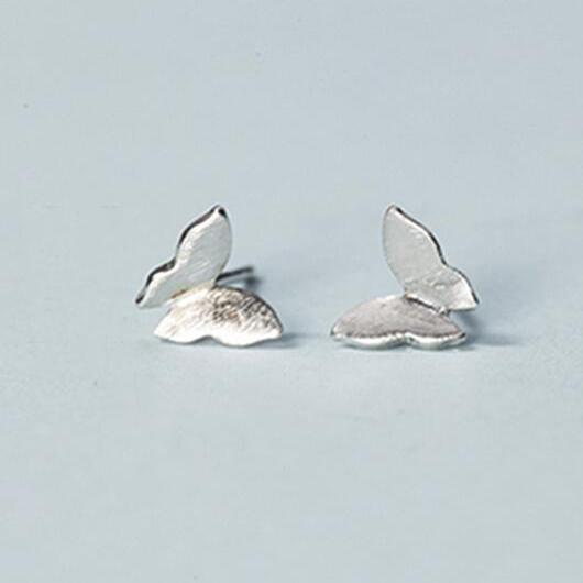 Sterling Silver Anti Allergy Earring on Luulla